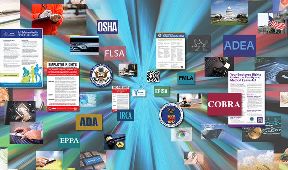 organization monitors